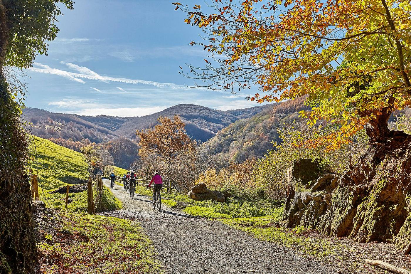 Ciclistas por una vía verde